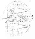 Fig. 41 - Multi Functional Implanting Suite and Implanting Method Thereof