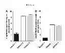 Fig. 06 - Methods of murine astrovirus detection