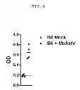 Fig. 07 - Methods of murine astrovirus detection