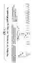 Fig. 02 - Integrated Assay that Combines Flow-Cytometry and Multiplexed HPV Genotype Identification