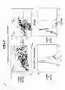 Fig. 09 - Integrated Assay that Combines Flow-Cytometry and Multiplexed HPV Genotype Identification