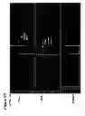 Fig. 09 - Methods of nucleic acid quantification and detection using anomalous migration