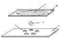 Fig. 01 - Devices, Compositions and Methods Pertaining To Microscopic Analysis Of Microorganisms and Other Analytes of Interest