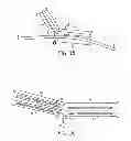 Fig. 09 - UNIVERSAL NUCLEIC ACID PROBE SET AND METHOD FOR UTILIZATION THEREOF