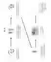 Fig. 02 - METHOD OF DIAGNOSING AND TREATING AN ASPERGILLUS SPECIES-ASSOCIATED CONDITION