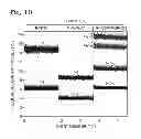 Fig. 07 - Digital assays with a generic reporter