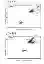 Fig. 11 - Digital assays with a generic reporter