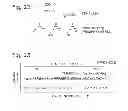Fig. 18 - Digital assays with a generic reporter