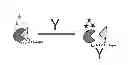 Fig. 01 - RECOMBINANT PROTEIN BIOSENSORS AND A METHOD FOR DETECTING THE PRESENCE OF AN ANALYTE MOLECULE