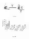 Fig. 02 - RECOMBINANT PROTEIN BIOSENSORS AND A METHOD FOR DETECTING THE PRESENCE OF AN ANALYTE MOLECULE