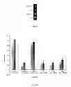 Fig. 08 - RECOMBINANT PROTEIN BIOSENSORS AND A METHOD FOR DETECTING THE PRESENCE OF AN ANALYTE MOLECULE