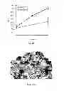 Fig. 07 - COMPOSITIONS AND METHODS FOR DIAGNOSING AND TREATING CANCER AND NEURODEGENERATIVE DISEASES RELATED TO BECLIN-1