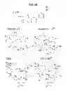 Fig. 02 - METHOD FOR DETECTING INFECTIONS
