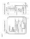 Fig. 02 - Stabilized chlorine dioxide for contamination control in fermentation