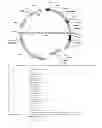 Fig. 167 - sp. for production of compounds