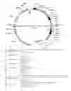 Fig. 197 - sp. for production of compounds