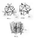 Fig. 03 - ENGINEERED CARBONIC ANHYDRASE PROTEINS FOR CO2 SCRUBBING APPLICATIONS