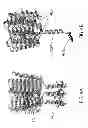 Fig. 05 - ENGINEERED CARBONIC ANHYDRASE PROTEINS FOR CO2 SCRUBBING APPLICATIONS