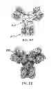 Fig. 09 - ENGINEERED CARBONIC ANHYDRASE PROTEINS FOR CO2 SCRUBBING APPLICATIONS