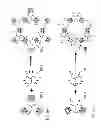 Fig. 10 - ENGINEERED CARBONIC ANHYDRASE PROTEINS FOR CO2 SCRUBBING APPLICATIONS