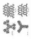 Fig. 12 - ENGINEERED CARBONIC ANHYDRASE PROTEINS FOR CO2 SCRUBBING APPLICATIONS