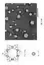 Fig. 19 - ENGINEERED CARBONIC ANHYDRASE PROTEINS FOR CO2 SCRUBBING APPLICATIONS