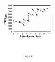 Fig. 06 - Method for culturing mammalian cells to improve recombinant protein production