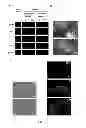 Fig. 04 - Method and applications of peptide-mediated mitochondrial delivery system