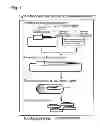 Fig. 02 - Terminator sequence-containing reverse primer for overexpression and linear DNA