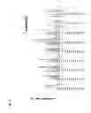 Fig. 10 - Terminator sequence-containing reverse primer for overexpression and linear DNA