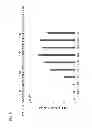 Fig. 11 - Terminator sequence-containing reverse primer for overexpression and linear DNA
