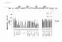 Fig. 12 - Terminator sequence-containing reverse primer for overexpression and linear DNA