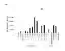 Fig. 13 - Terminator sequence-containing reverse primer for overexpression and linear DNA