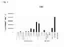 Fig. 15 - Terminator sequence-containing reverse primer for overexpression and linear DNA