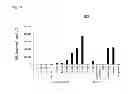 Fig. 17 - Terminator sequence-containing reverse primer for overexpression and linear DNA