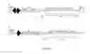 Fig. 03 - Methods and Products for Producing Engineered Mammalian Cell Lines With Amplified Transgenes