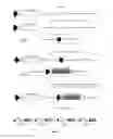 Fig. 04 - Methods and Products for Producing Engineered Mammalian Cell Lines With Amplified Transgenes