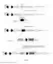 Fig. 06 - Methods and Products for Producing Engineered Mammalian Cell Lines With Amplified Transgenes