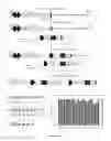 Fig. 10 - Methods and Products for Producing Engineered Mammalian Cell Lines With Amplified Transgenes