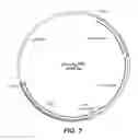 Fig. 04 - Expression of granular starch hydrolyzing enzyme in trichoderma