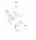 Fig. 02 - Methods of detecting reverse triiodothyronine by mass spectrometry