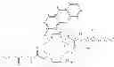 Fig. 22 - Responsive luminescent lathanide complexes