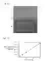 Fig. 07 - Plasma doping apparatus and plasma doping method