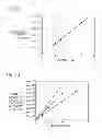 Fig. 08 - Plasma doping apparatus and plasma doping method
