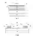 Fig. 02 - Field effect transistor-based bio-sensor