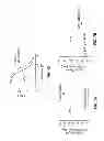 Fig. 06 - Field effect transistor-based bio-sensor