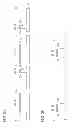 Fig. 09 - Semiconductor device manufacturing method
