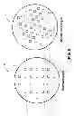 Fig. 07 - Wafer dicing from wafer backside