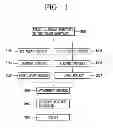 Fig. 02 - Detachment apparatus having arched drum pad and method for fabricating lightweight, thin liquid crystal display device using the same