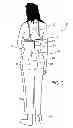 Fig. 03 - Body-shaping intimacy garment